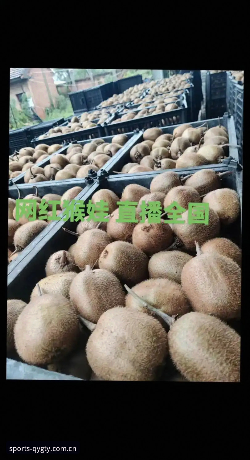 奇异果体育平台功能全解析：从体验到技术细节的深度评测