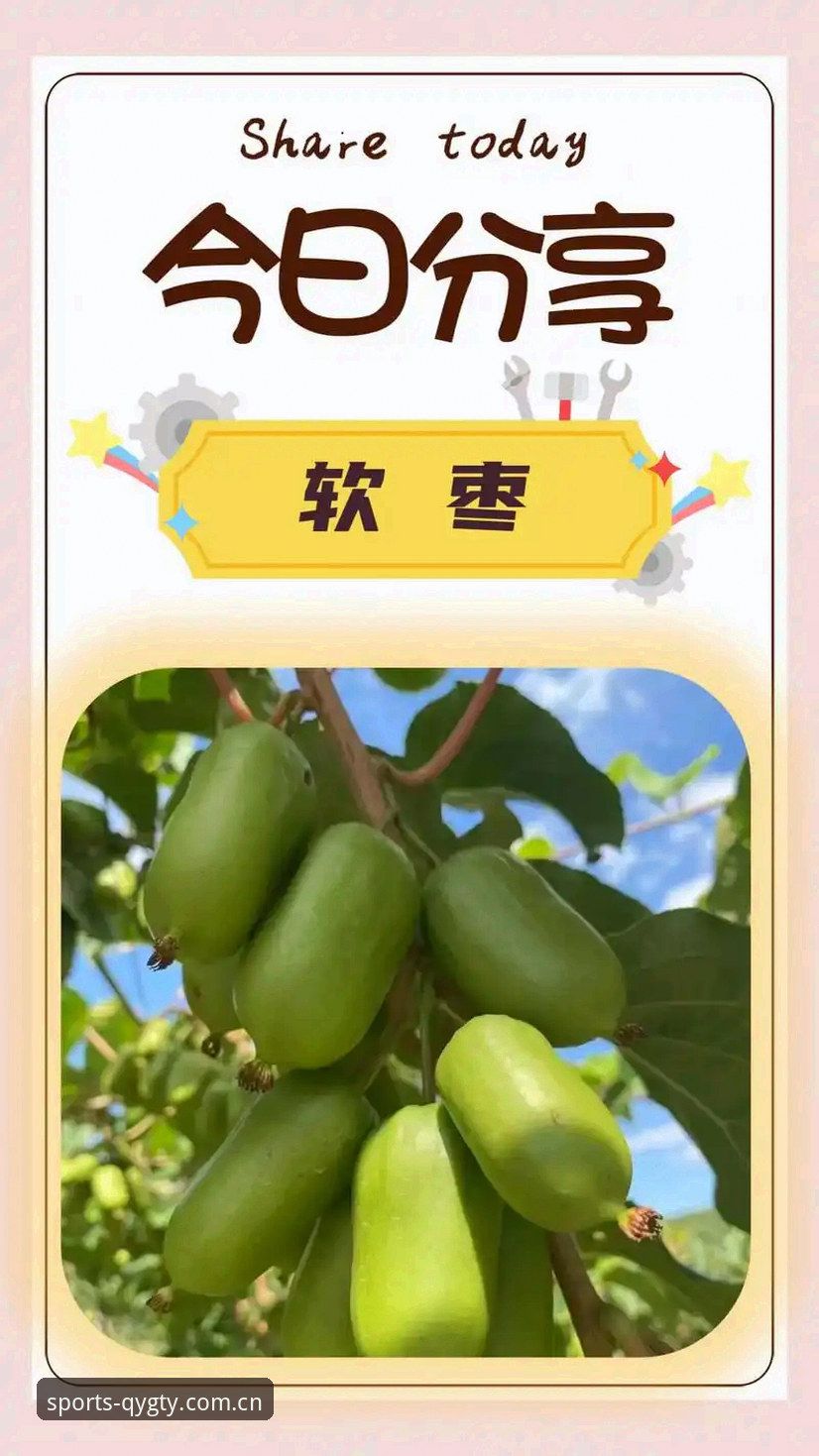 奇异果体育提现指南：3种高效方式与5个必知安全要点